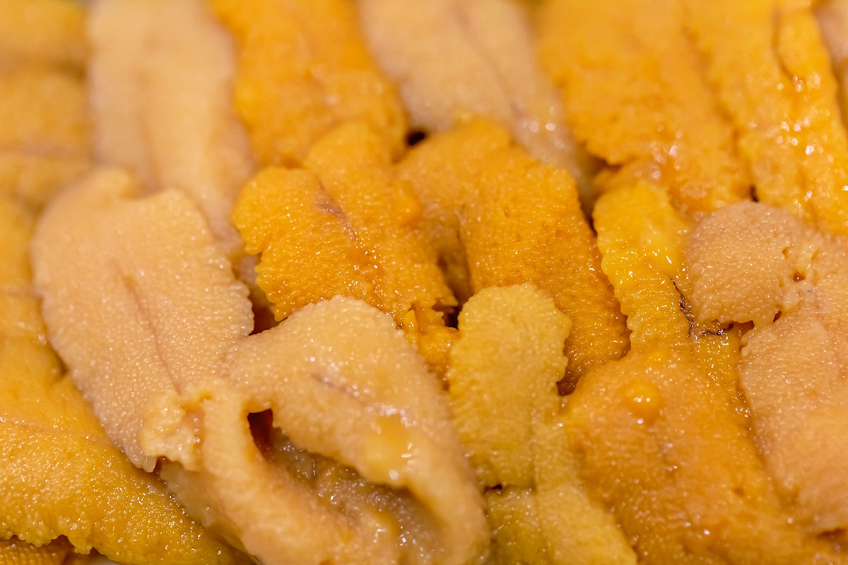 Fresh Uni Sashimi