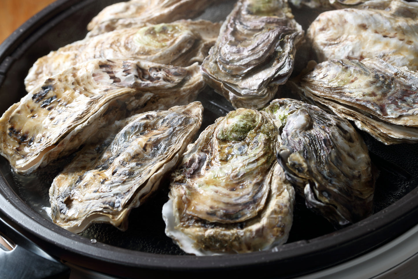 Japanese Miyagi Oyster Sashimi - Whole Shell XXL