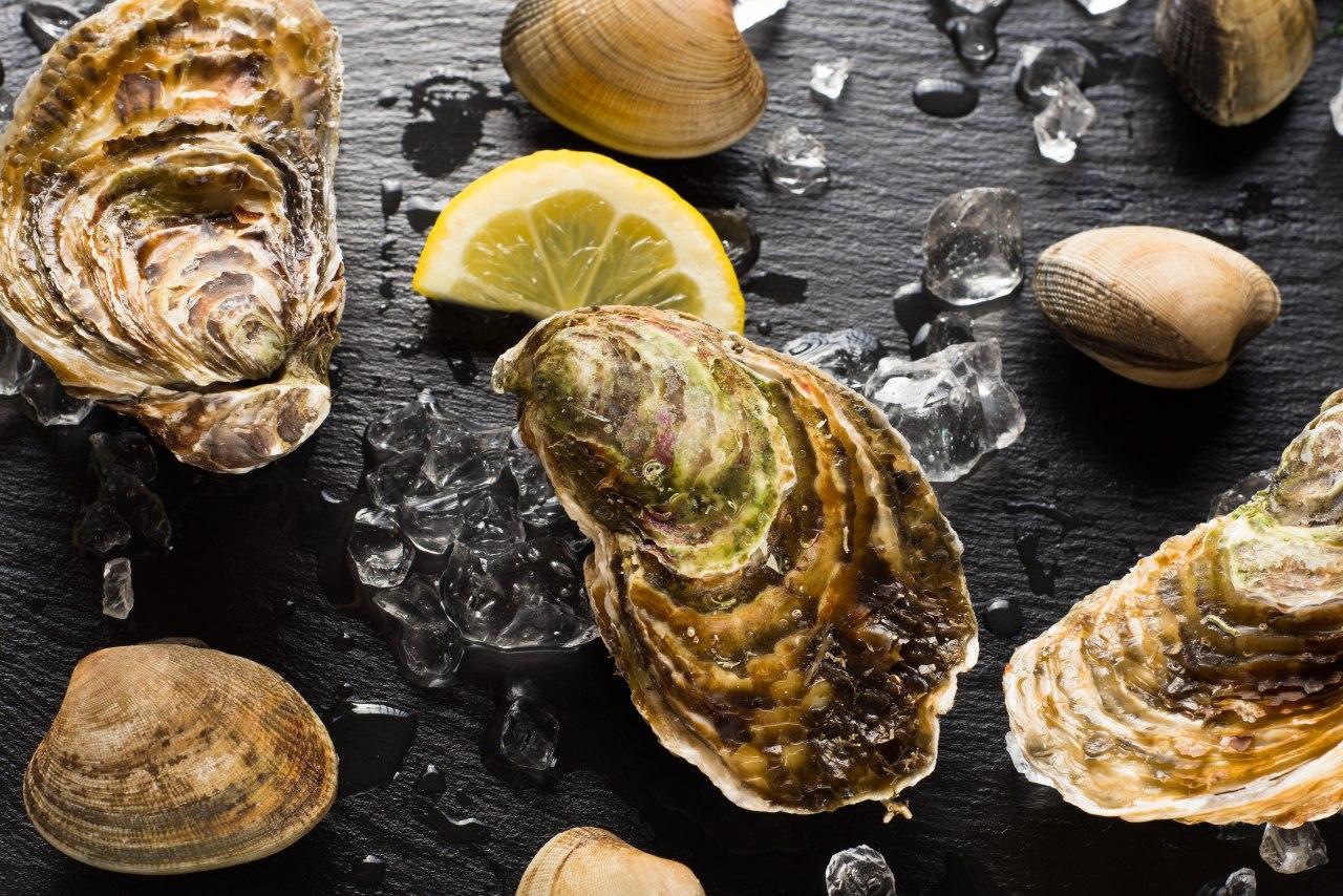 Miyagi Oyster Sashimi - Whole Shell